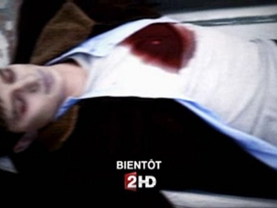 The Castle sur France 2 le lundi 5 juillet 2010