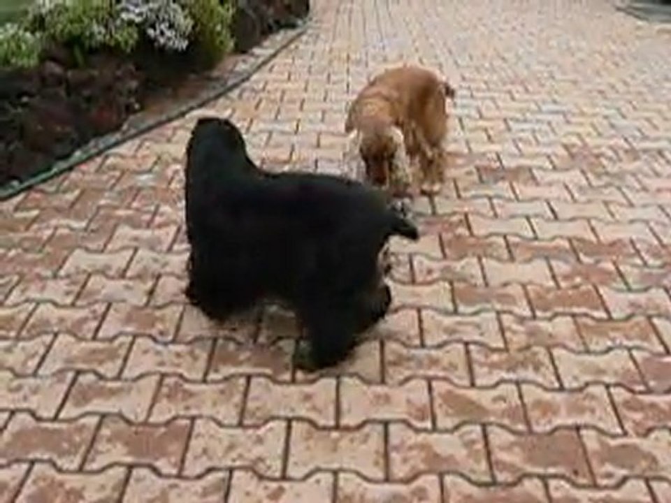 tania atthis et "caramelle"