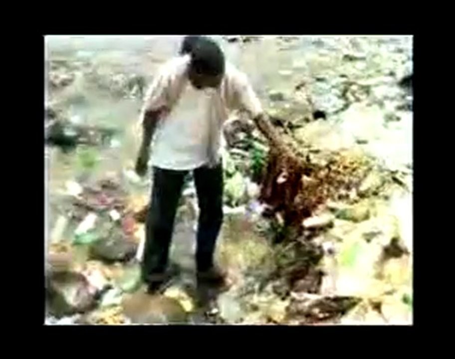 Laye Mansa - PLASTIC