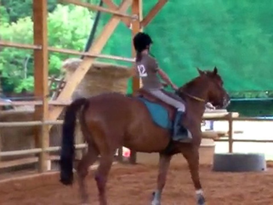 Cours d'équitation