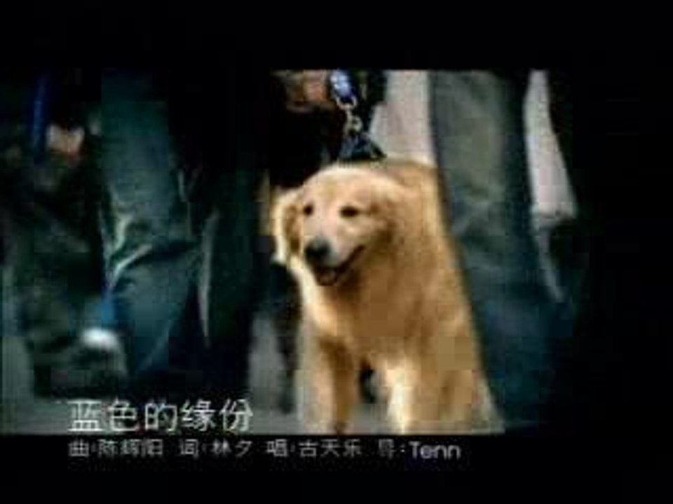 louis koo-blue sky