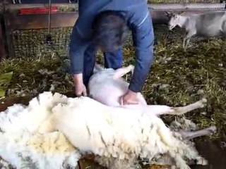 Avril ne te découvre pas d'un fil,Mai fait ce qu'il te plait