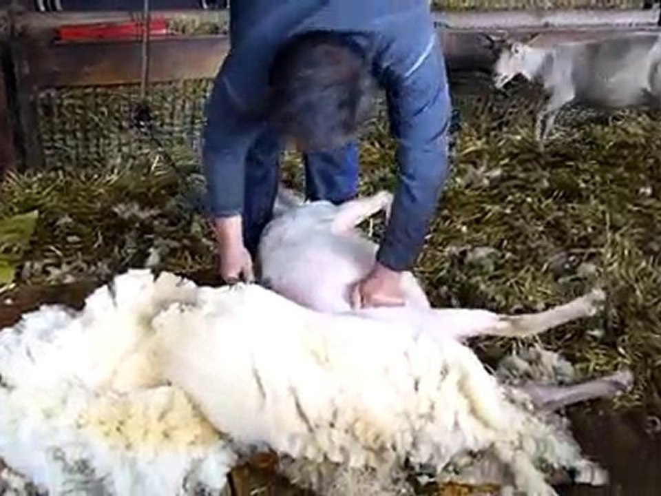 Avril ne te découvre pas d'un fil,Mai fait ce qu'il te plait