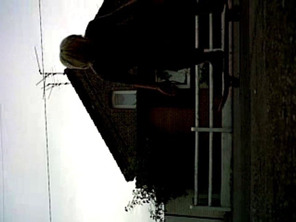 test skate logan