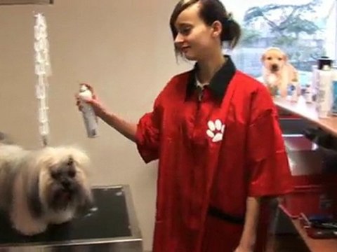 Toutou Rapetou Toilettage - Salon de toilettage pour chiens