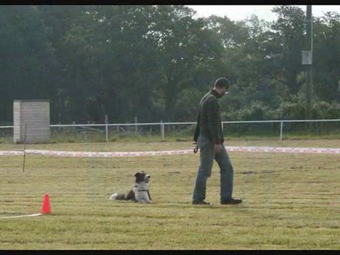 Concours obéissance 2010 CSAU