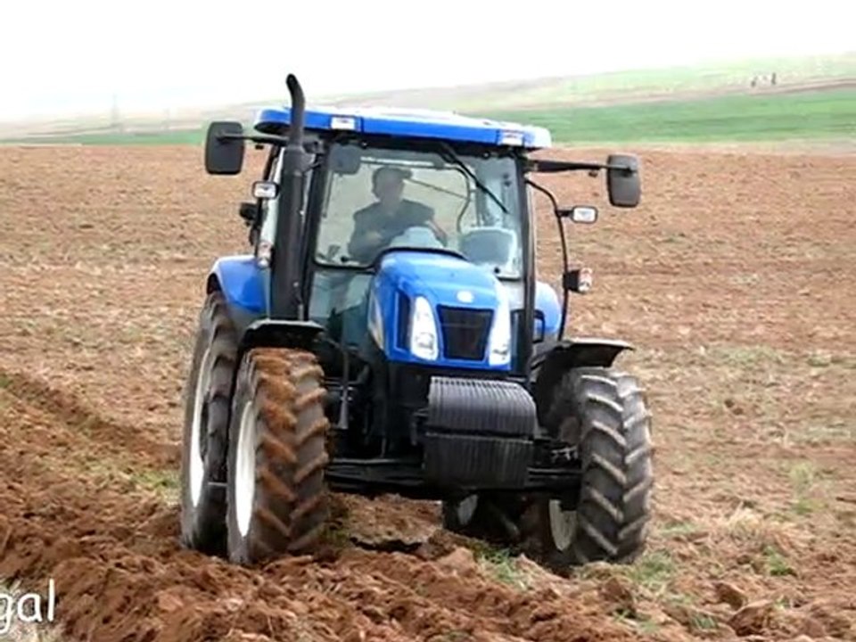 T6040 Elite Herg 3 Kangalli84 ~ Anıl Kangal - Sivas Kangal