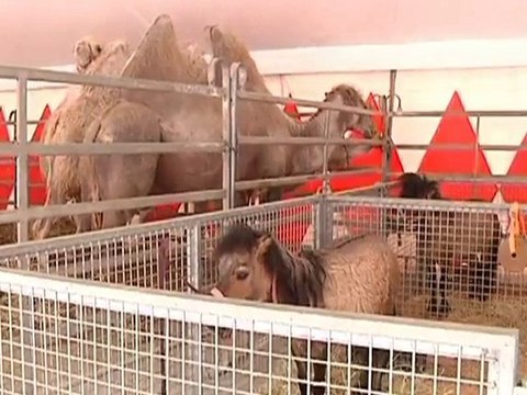 Le Cirque Arlette Gruss débarque à Troyes