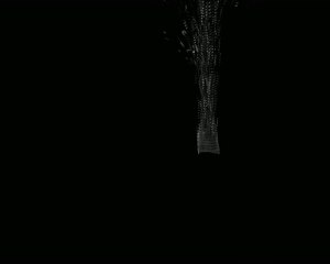 Test tp tronc d'arbre