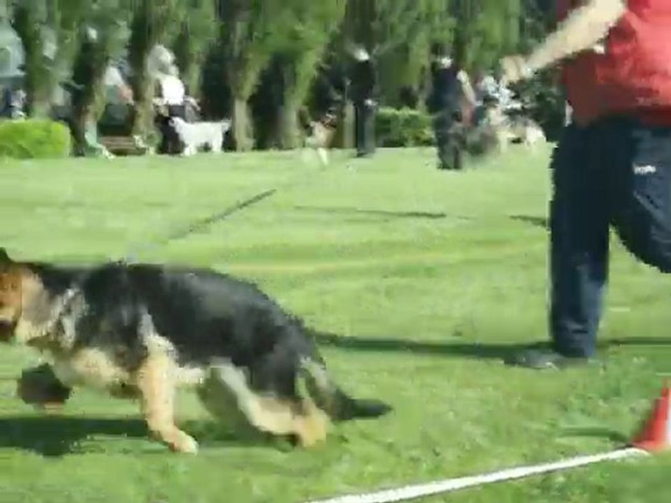 Flutter berger allemand essai expo