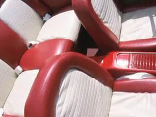 Professional Auto Detailing