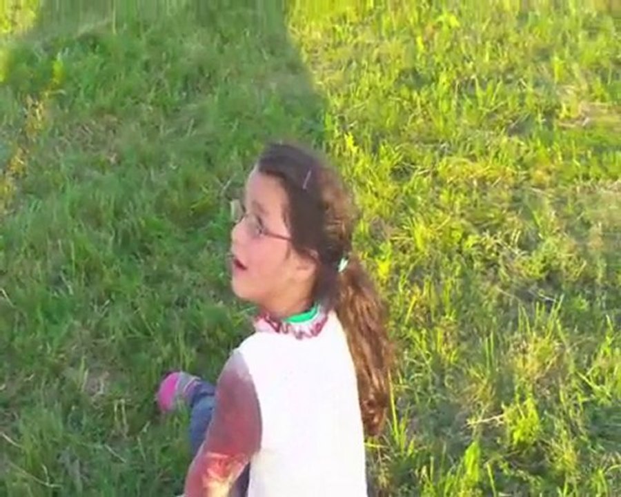 Lenkdrache Flughafen Berlin Tempelhof  10.06.2010