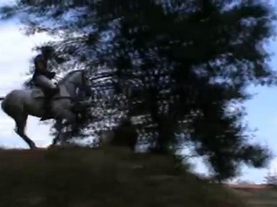 Pro 2 CCE Lattes 2010