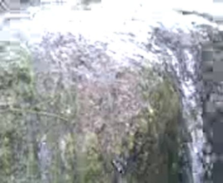 3anassare talilite bni oulchek nador