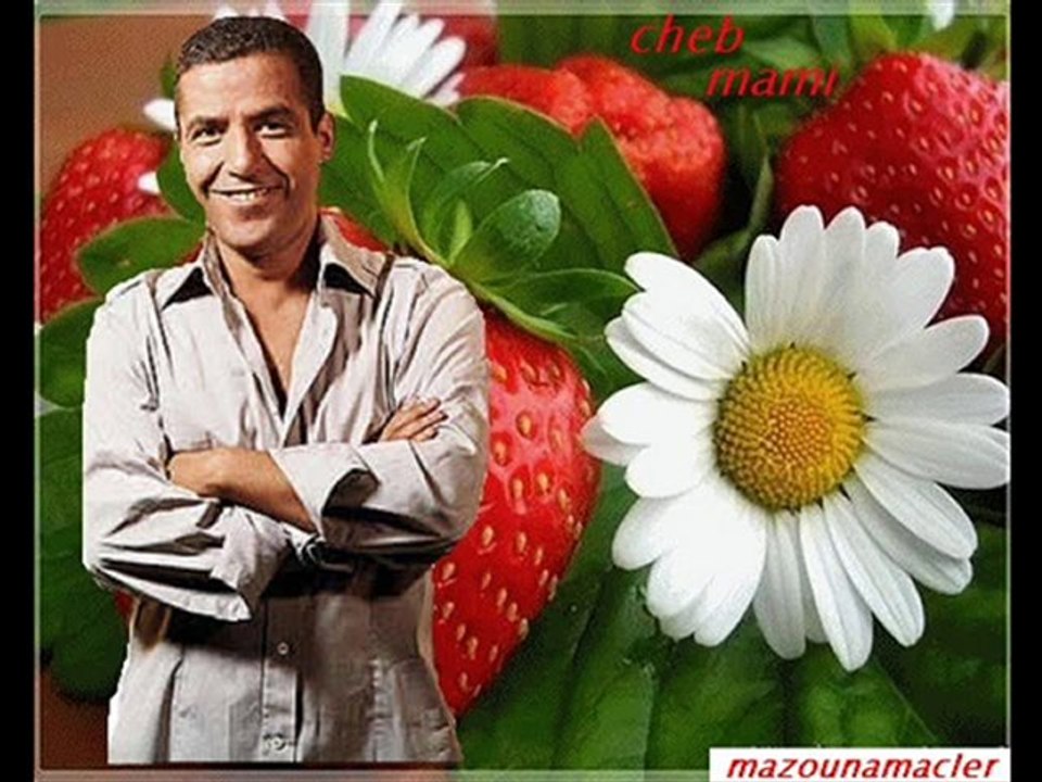 ๑۩۞۩๑d ๑۩۞۩๑ cheb mami...ghalta fe telephone๑۩۞۩๑h๑۩۞۩๑.