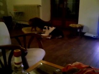 Miss Cass-Couille et Mister Zen!