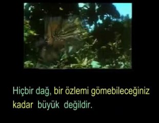 Sevmek bazen vazgeçmeyi bilmektir