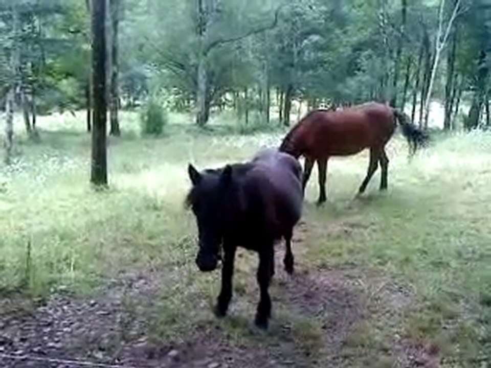 val et laz le 16/06/10