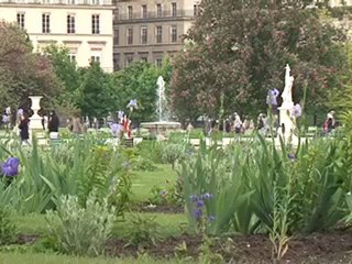 Le jardin des Tuileries