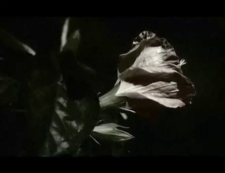 Angus & Julia Stone - Paper Aeroplane