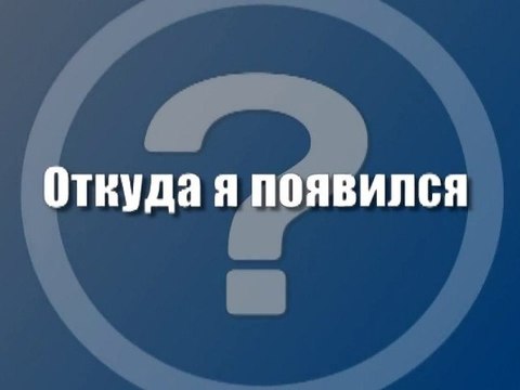 Откуда я появился?