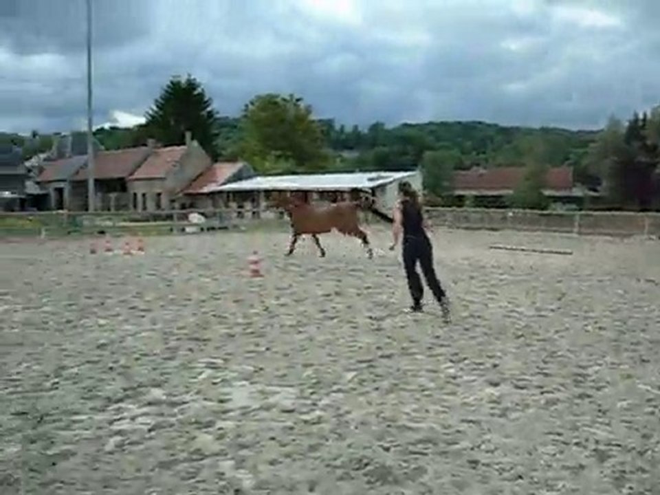 Anis, 7 ans, découvre le plaisir du saut d'obstacle