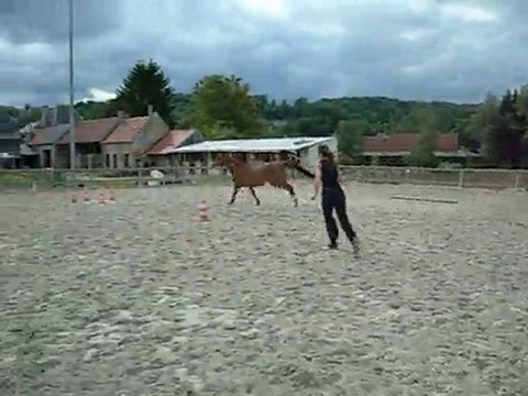 Anis, 7 ans, découvre le plaisir du saut d'obstacle