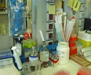 S.Raffaele: viaggio nel laboratorio di ricerca staminali