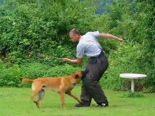 El'Boy face derrière les bidons sur Thierry