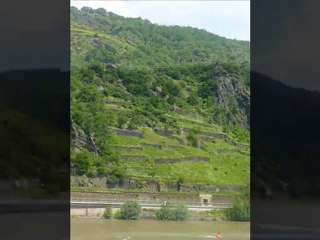 "L'Albatros.".. nous accompagne sur le Rhin