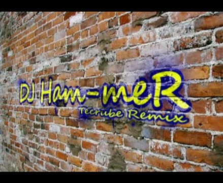Demet Akalın - Tecrübe Remix [By DJ Ham-meR]