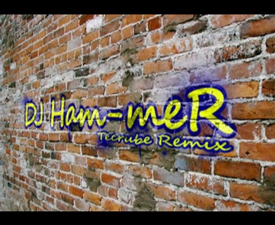 Demet Akalın - Tecrübe Remix [By DJ Ham-meR]