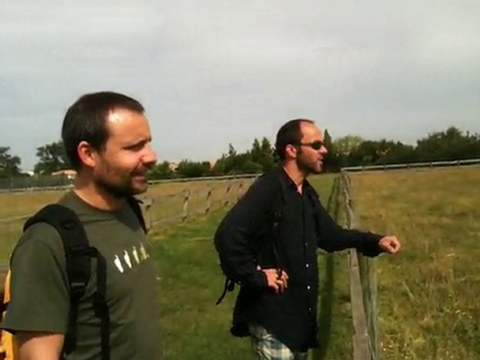 Le bruit des animaux