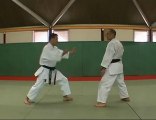 Karate Tekniği