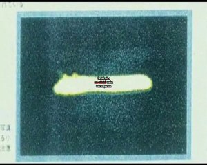 Mile Wide ufos SEEN and FILMED around Earth!