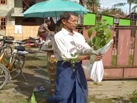 Birmanie: des arbres pour le 65e anniversaire d'Aung San Suu Kyi