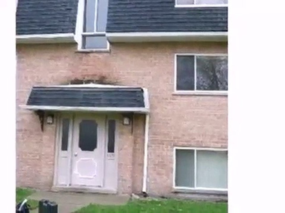 Homes for Sale - 9979 Linda Ln Apt 2E - Des Plaines, IL 6001