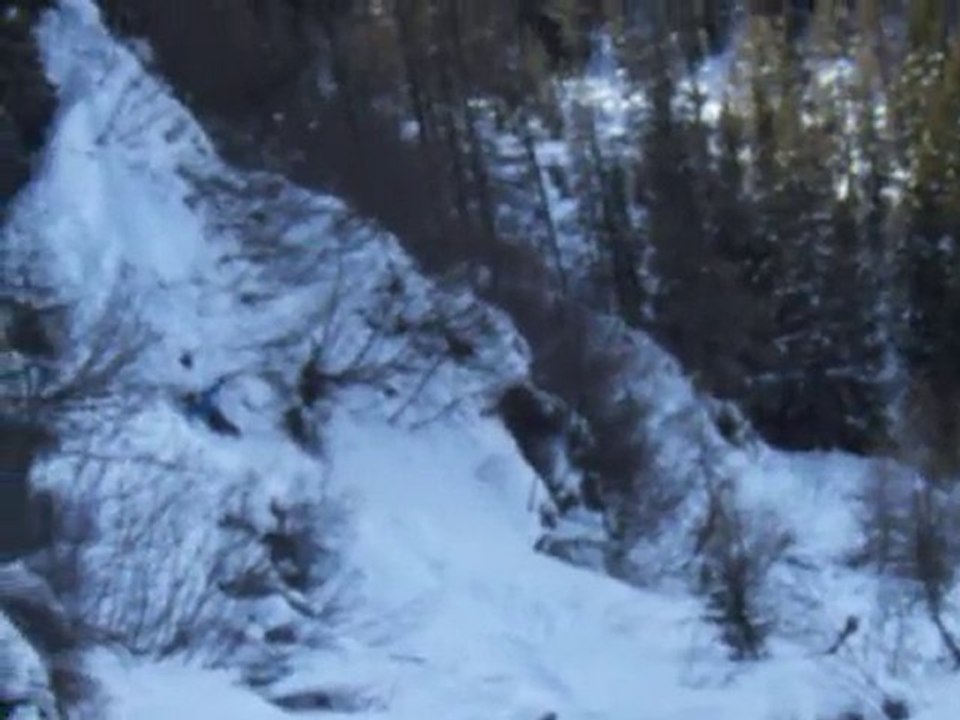Momo le saut !!