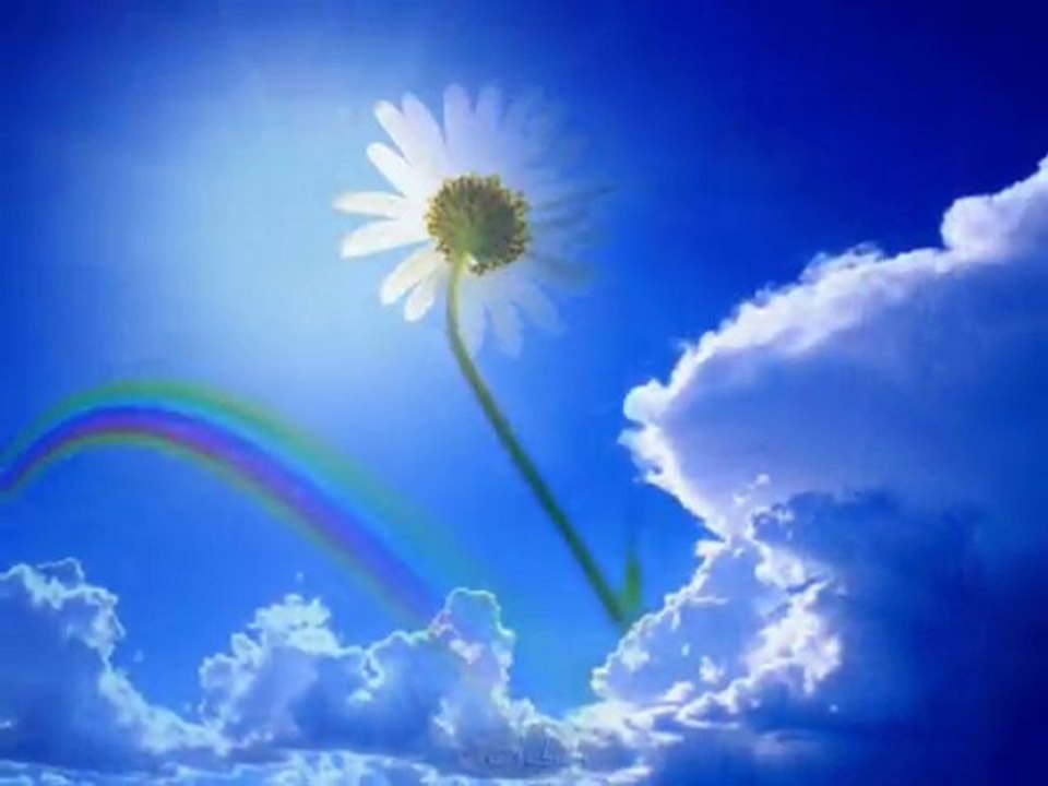 Papatya gibisin beyaz ve ince...