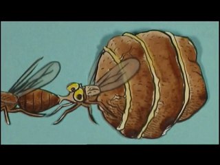 Tortures for Flies: 4th of July