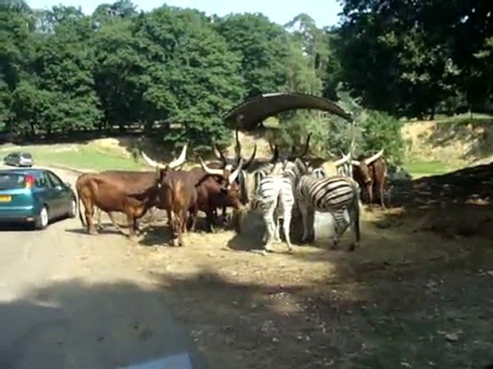 La visite continue