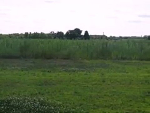 Homes for Sale - 0 Grove St - Wheatfield, IN 46392 - Coldwel