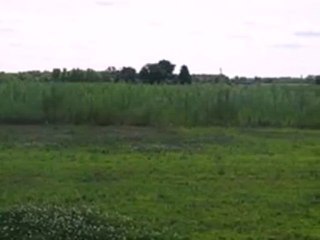 Homes for Sale - 0 Grove St - Wheatfield, IN 46392 - Coldwel