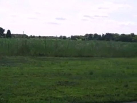 Homes for Sale - 0 Meadow Lane St - Wheatfield, IN 46392 - C