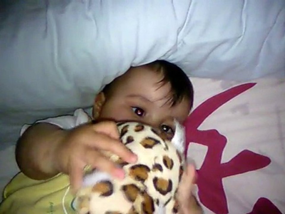 Vidéo0061