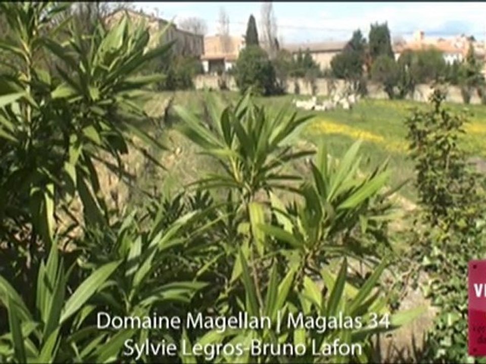 Domaine Magellan