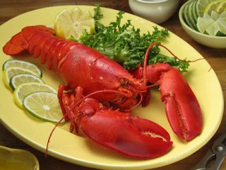 Canon PowerShot SX210 IS - Compact Super Zoom Camera!