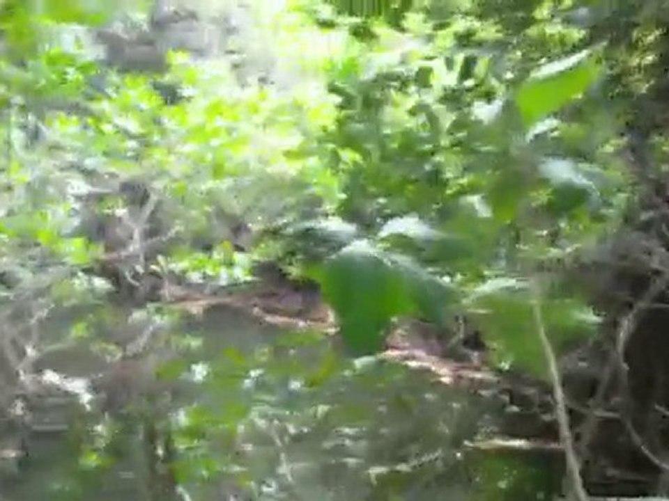 Hotel Barcelo Puerto Plata Dominican Republic 6 By Grdgez