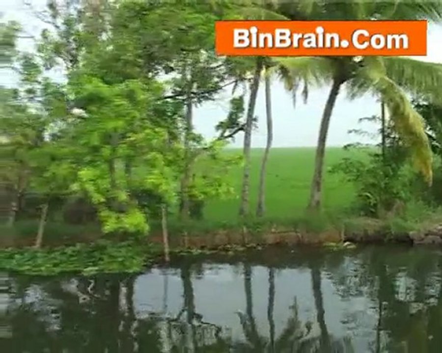 Nature in Kumarakom