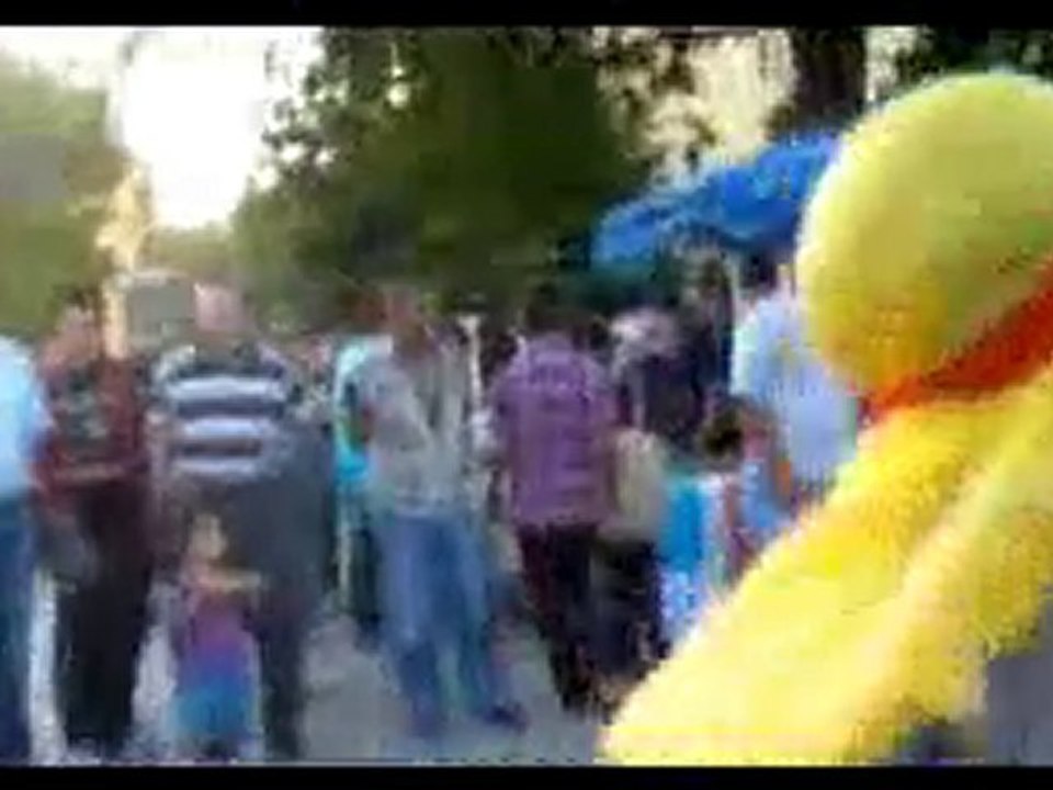 SANY009
